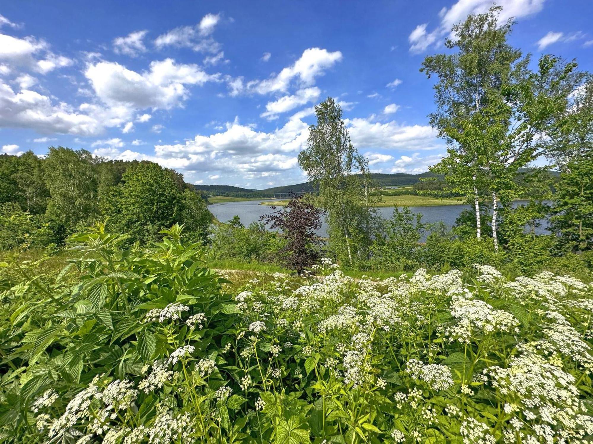 Feriendorf Seeblick - Tinyhouse Direkt Am See Neunburg vorm Wald Εξωτερικό φωτογραφία
