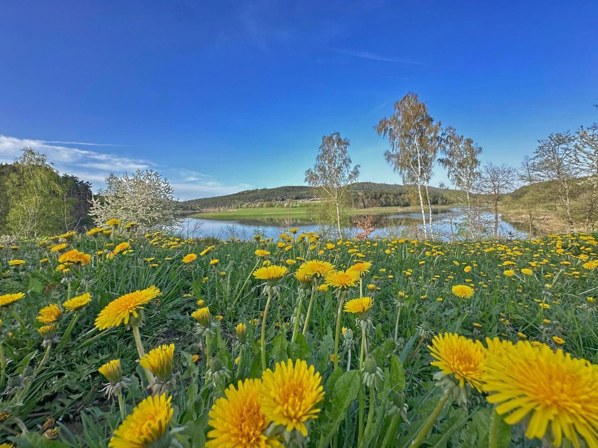 Feriendorf Seeblick - Tinyhouse Direkt Am See Neunburg vorm Wald Εξωτερικό φωτογραφία